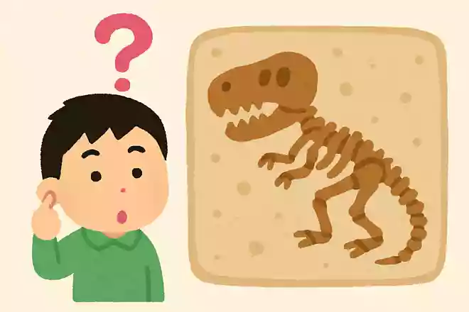 日本で初めて見つかった恐竜の化石はどれ?