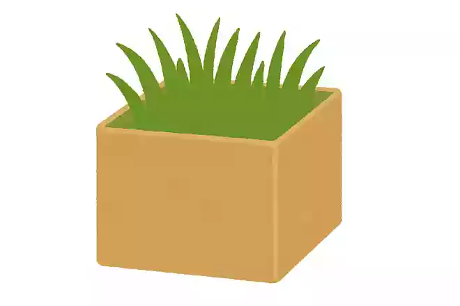中に芝が入っている箱はなんででしょう?