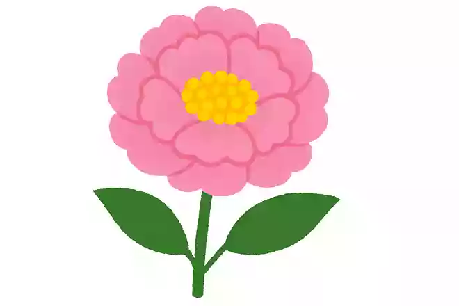 5月に咲く花の名前は何でしょう?