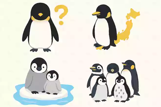 現在世界で飼われているペンギンの内、日本に居るのはは約何%でしょうか?