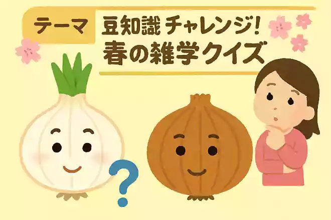 新玉ねぎと普通の玉ねぎの違いは何?