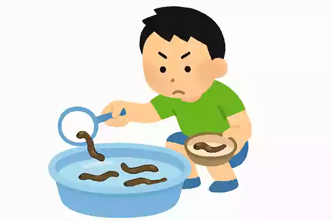 どじょうすくい