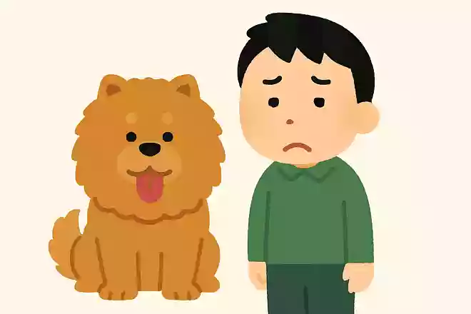 なんでもかんでもなんかある言うけど、なんかなんでもない感じするねん