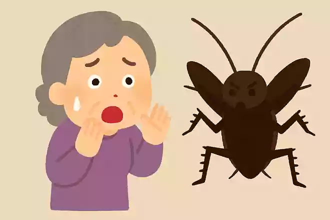 ゴキブリは自分の身が危ないと感じるとどうするでしょうか。