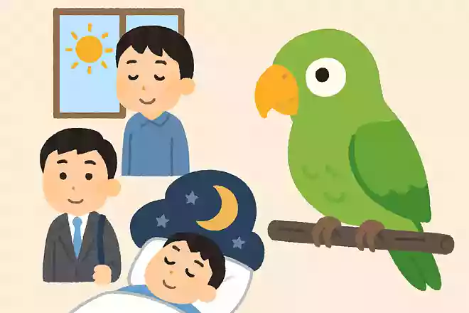 あなたはオウムを飼っているとします。朝起きたら「おはよう」、家に帰ったら「おかえり」、寝るときは「おやすみ」と迎えてくれるオウムです。この話のおかしなところはどこでしょうか?