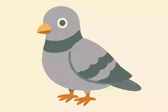 鳩尾