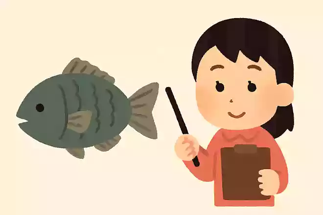 魚の年齢はどこを見ればわかる?
