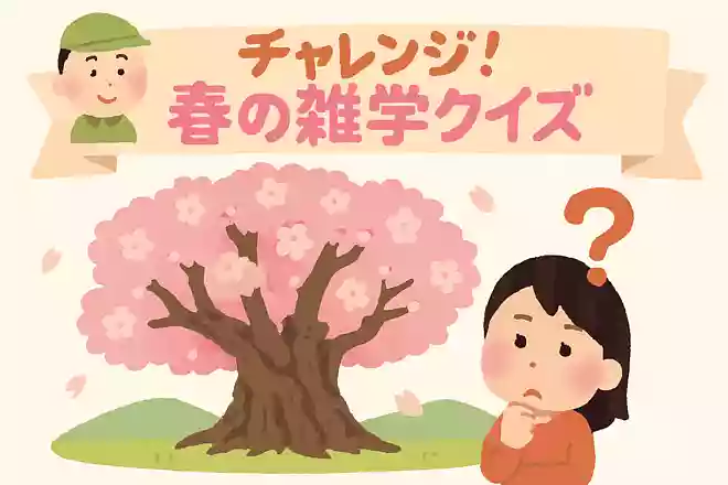 日本最古の桜である「山高神代桜」は何県にある?