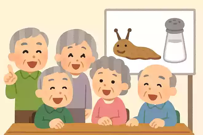 塩以外にナメクジがかけられると、縮んでしまう調味料はなんでしょうか?