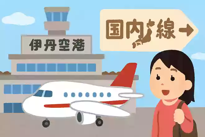 大阪国際空港には国内線しか発着していない