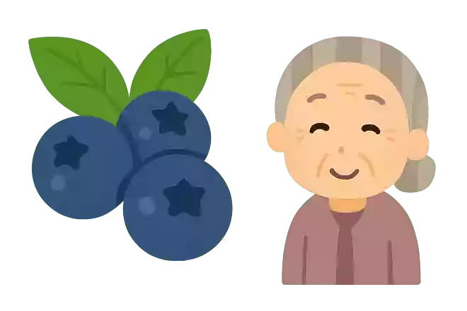 藍苺(ブルーベリー )