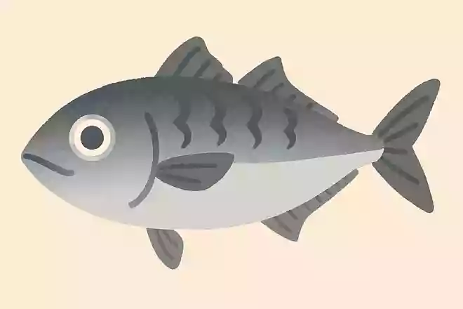 ギンガメアジ(銀我眼鰺)