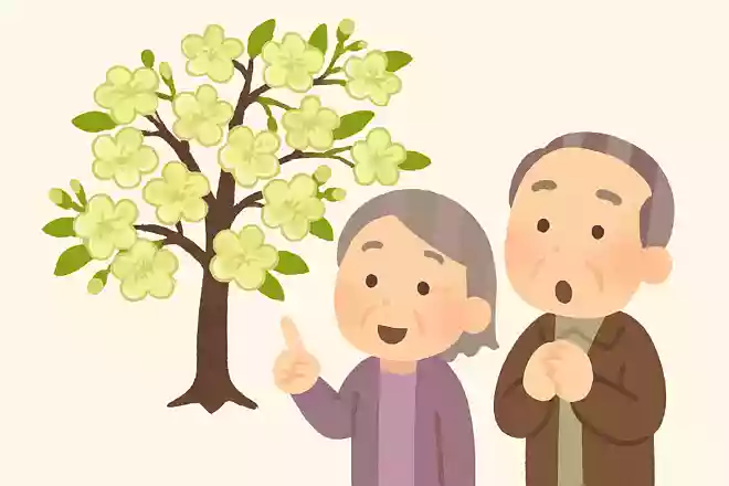 御衣黄桜(ギョイコウザクラ)という桜はピンクではなく、何色の桜でしょうか