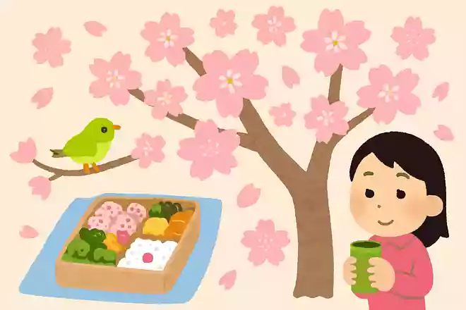 偽物の客である「サクラ」の由来は桜の花のようにパッと登場し、サッと去るところからきている