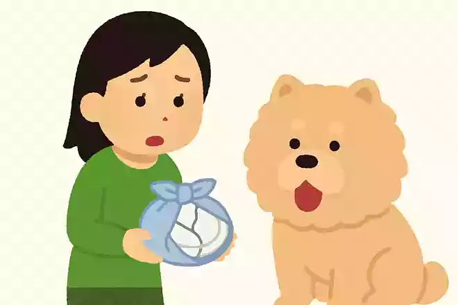 さらの皿、さらしでさらさら巻けて言うたよな、サラ。割れたさらの皿、今さら、さらしで巻くて何さらしとんねん、サラ。
