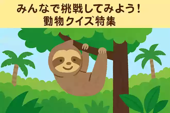 ナマケモノはどこで過ごすことが多いでしょうか?