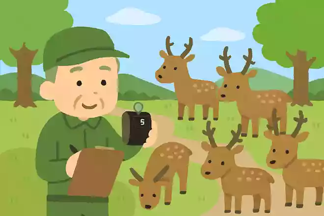 鹿で有名な奈良公園。鹿の数をどのような方法で数えているでしょうか?