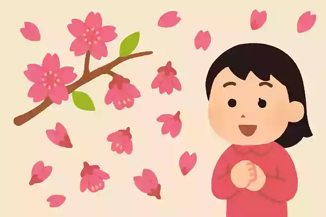 カンヒザクラは花のまま丸ごと落ちる