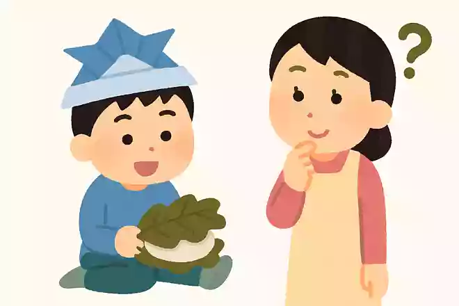 こどもの日に食べるお餅に使われている葉っぱはなんでしょうか