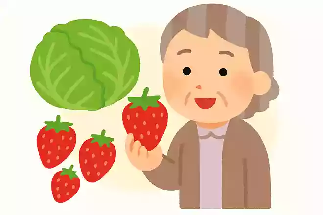 いちごは実は野菜
