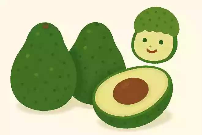 「森のバター」と呼ばれるアボカドは野菜である