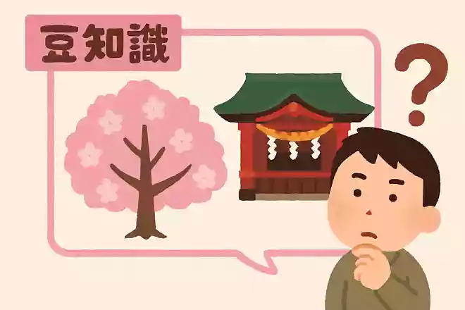 東京はどこの神社の桜を見て開花宣言をする?