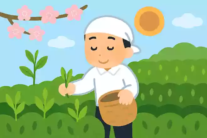 5月のはじめに訪れる八十八夜とは?