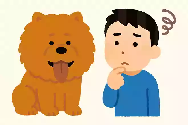 なんでなんで言うけど、なんでなんがなんでかわからんねん