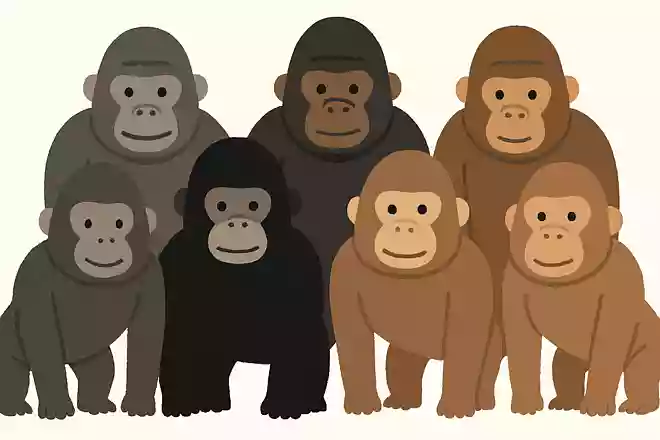 日本の動物園で飼育されてきた多くのゴリラの種類はなんでしょう?