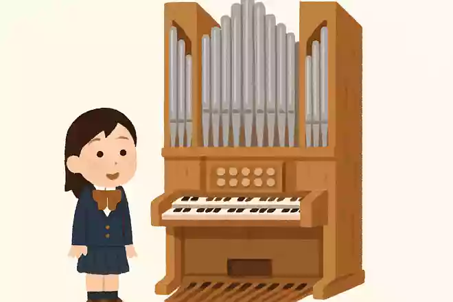 世界で最も大きい楽器はどれでしょう?