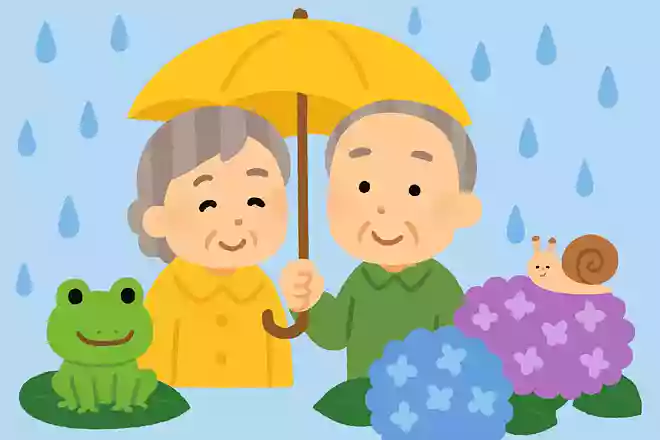 梅雨の名前の由来はなんでしょう?