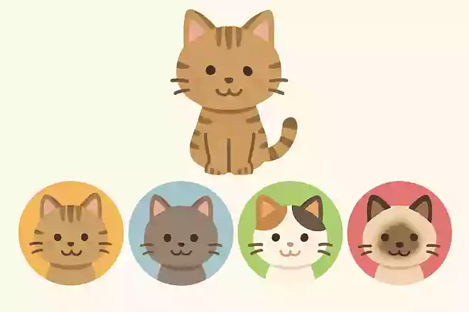 猫の血液型は何種類?