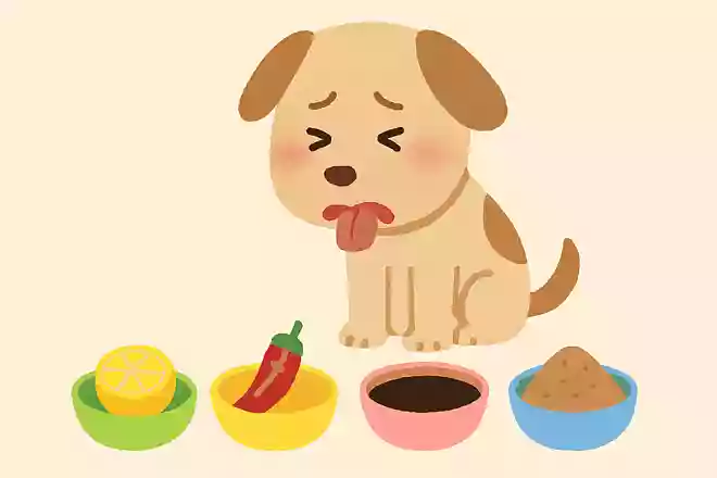 犬が苦手な味は次のうちどれ?