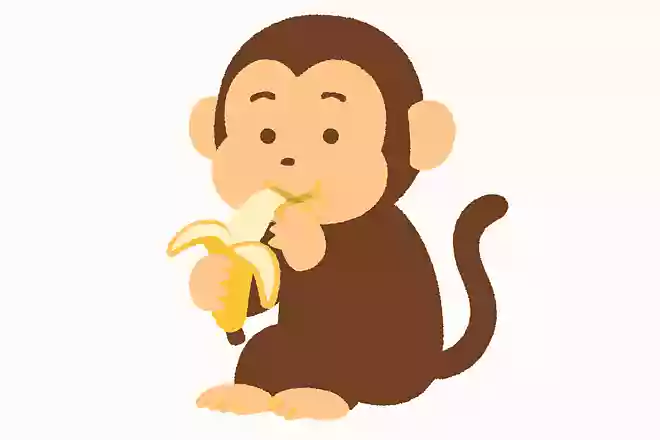 バナナを食べるサル
