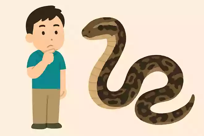 沖縄県に多く存在する日本最大の毒蛇は?