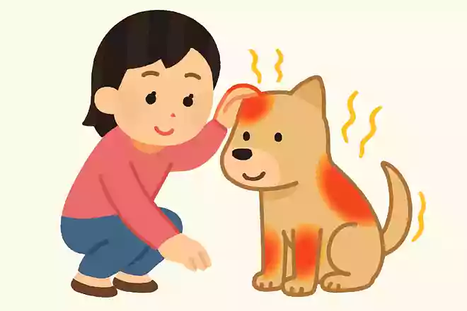 犬はからだのどこで温度を感じる?