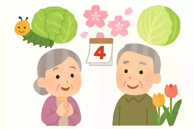 青虫はキャベツは食べるが、レタスは食べない