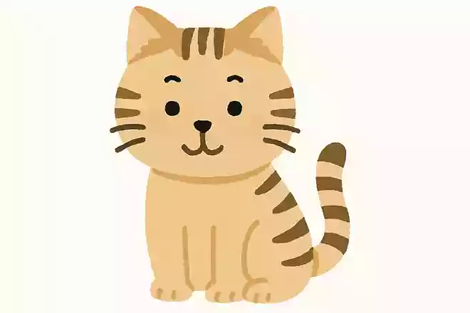 蘭の母である妃英理が飼っている猫の名前はなんでしょう?