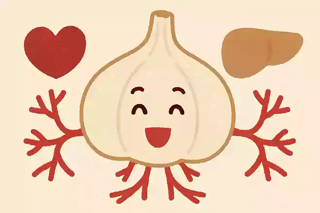 食べると血行を良くし、栄養を全身に行き渡らせてくれる白い球根はなんでしょう?