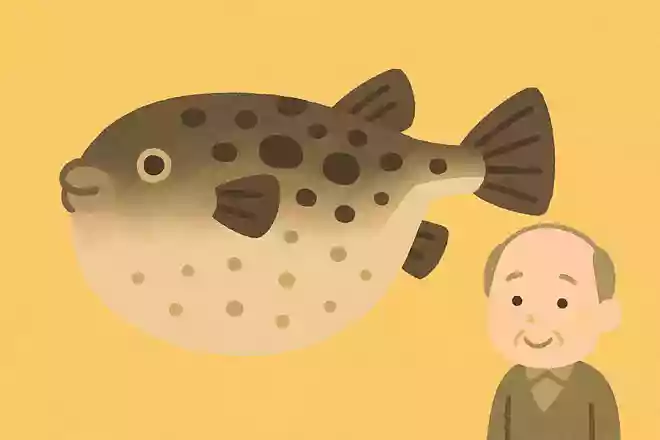 河豚(ふぐ)