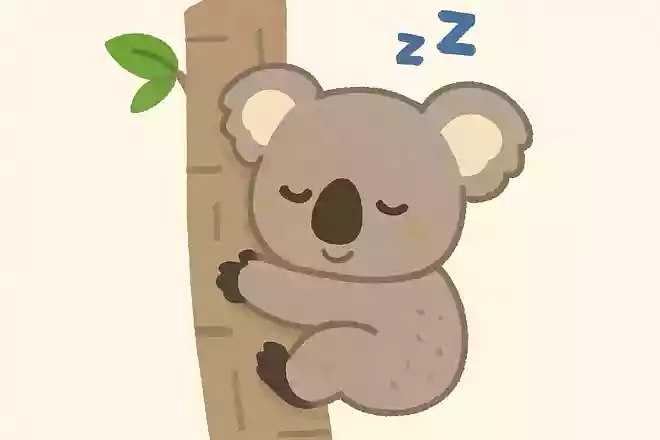 コアラはいちにちにどれくらい眠るでしょう?