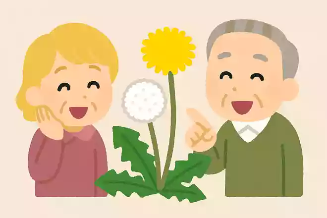 若い頃は金髪、年をとると白髪になる植物は何でしょう?