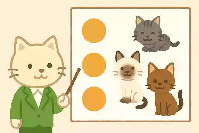 世界最小の猫といわれているのは?