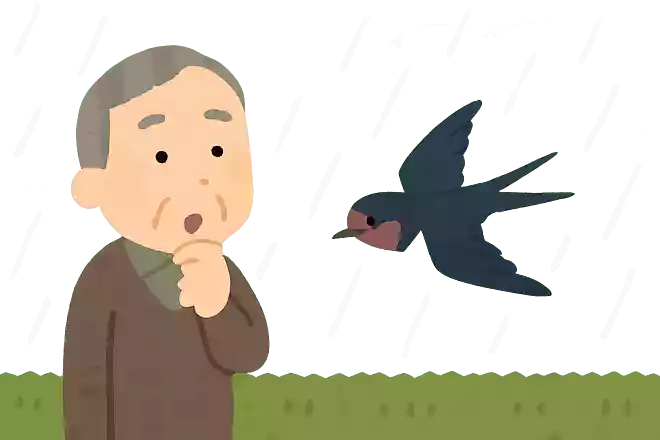 ある鳥が低く飛んでいると、雨になると言われています。ある鳥とは何でしょうか?