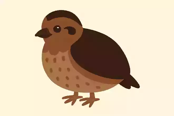 ヌマウズラ