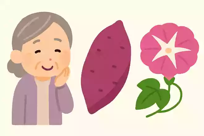 さつまいもはある花の仲間です。それは何でしょうか。