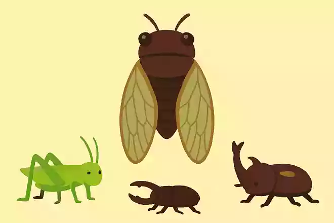 夏になると大きな声で鳴く虫は次のうちどれでしょうか？