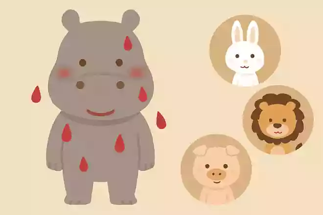 汗が赤い動物は何でしょうか?