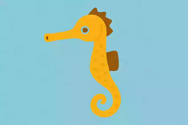 ヨウジウオ(楊枝魚)
