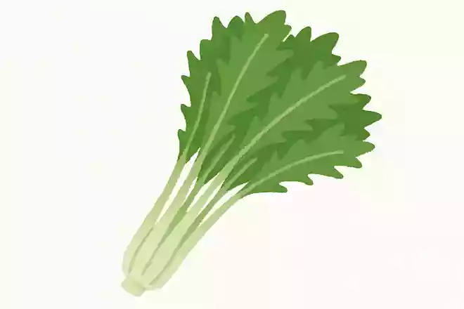 みずな(水菜)